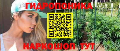 дживик Сланцы
