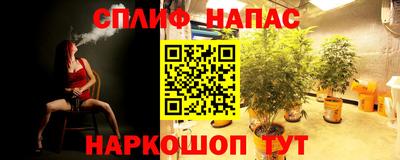 молекула духа Ставрополь