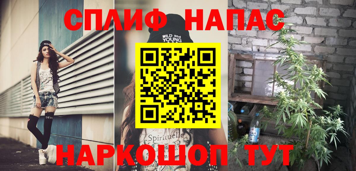 Бошки Шишки план Мытищи